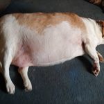 Greg Maher - @mahergreg - Instagram