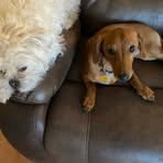 Greg Maier - Facebook
