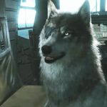 Greg Maier - @gmaier729 - Instagram