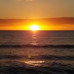 Greg Mancini - @mancinigreg - Instagram