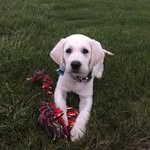Greg Marco Ryken Ben Aydan - @baxter_co - Instagram