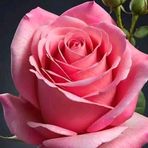 Greg Mark - Facebook