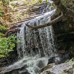 Greg Marlow - @marlowgreg - Instagram