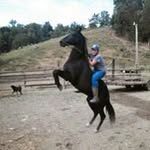 Greg Marlow - @stout.jewell69 - Instagram