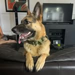Greg Marney - @gregmarney - Instagram