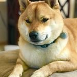 Greg Marston - @gregmarston - Instagram