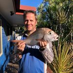 Greg Marston - @marston.greg - Instagram