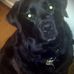 Greg Martell - Facebook