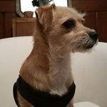 Greg Mason - @greg.mason1 - Instagram