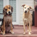 greg mccorkle - @mccorklegreg - Instagram