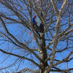 Greg McCray - @greg.mccray.522 - Instagram