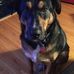 Greg McKenna - Facebook