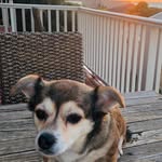Greg Mckenna - @nevs_nook - Instagram