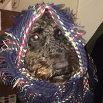 Greg Mckenna - @ggmckenna - Instagram