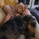 Greg Mckenna - @wizwaz1981 - Instagram