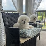 Greg McLaughlin - @gmac1170 - Instagram