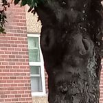 Greg McLeod - @greg.mcleod.1069 - Instagram