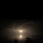 Greg Mcleod - @greg.mcleod.547 - Instagram
