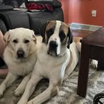 Greg McMullen - @gmcmullen79 - Instagram