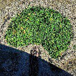 Greg McNamara - @gregory_mcnamara - Instagram