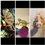 Greg McNeil - @greg_mcneil0621 - Instagram