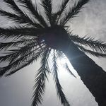Greg McNeil - @gregmcneil26 - Instagram