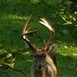 Greg Mcneil - @gsmcneil30 - Instagram