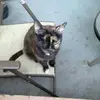 gregmcrae926 - @gregmcrae926 - TikTok