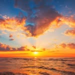 Greg Meadows - @gregmeadows_ - Instagram