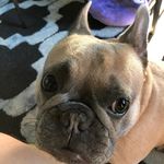 Greg Meadows - @greg.meadows.50 - Instagram