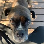 Greg Merrill - Facebook