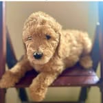 Greg Merrill - @greg_m_49224 - Instagram