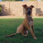 greg messinger - @g.messinger3 - Instagram