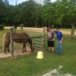 Greg Minor - @minor.greg - Instagram