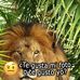 Greg Miranda - Facebook