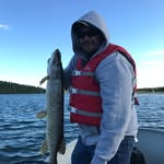 Greg Miranda - @gregmiranda3345 - Instagram
