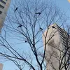 greg moon - @greg.moon55 - TikTok