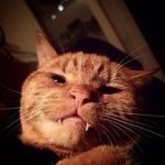 Greg Morley - @_l0nelygh0st_ - Instagram