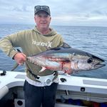 Greg Morley - @greg.morley.54 - Instagram