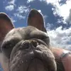 Greg Morley - @greg.morley4 - TikTok