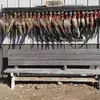 Greg Muller - @greg.muller0 - TikTok