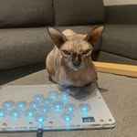 Shirts AI could never generate - @greg.mullinn - Instagram