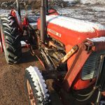 Greg Munro - @tinderryfarm132 - Instagram