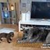 Greg Munro - Facebook