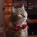 Gregory Needham - Facebook