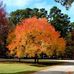 Greg Neely - Facebook