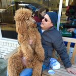 Greg Nickson - @greg_nickson - Instagram