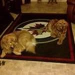 Greg Nicol - @gregnicol1955 - Instagram