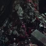 Greg Nixon - @greggythethinker - Instagram