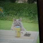 Greg Noonan - @greg.noonan.71 - Instagram